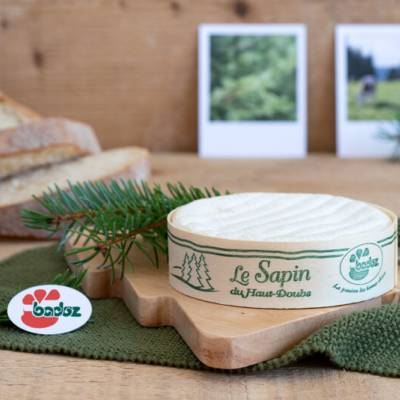 Sapin du Haut Doubs