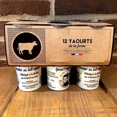 Yaourts mixtes x12